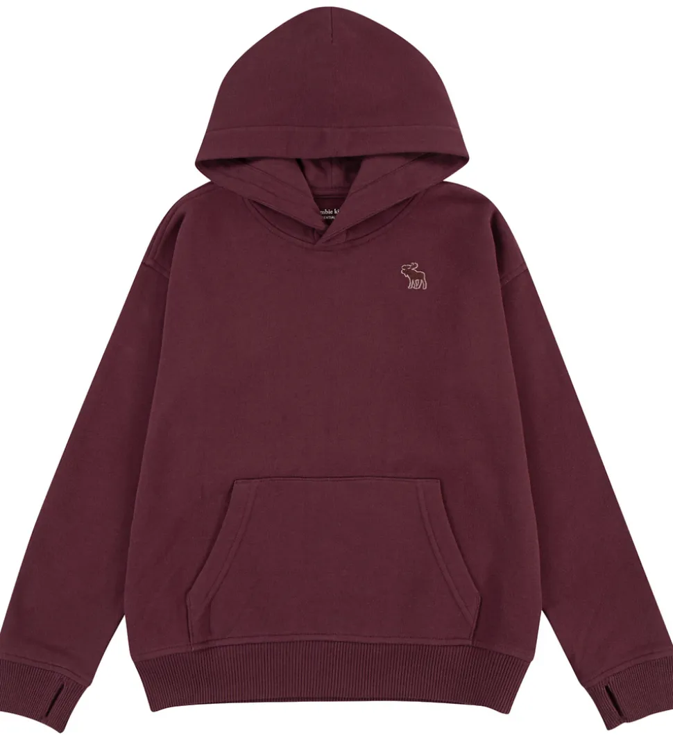 Abercrombie & Fitch Hættetrøje - Fig