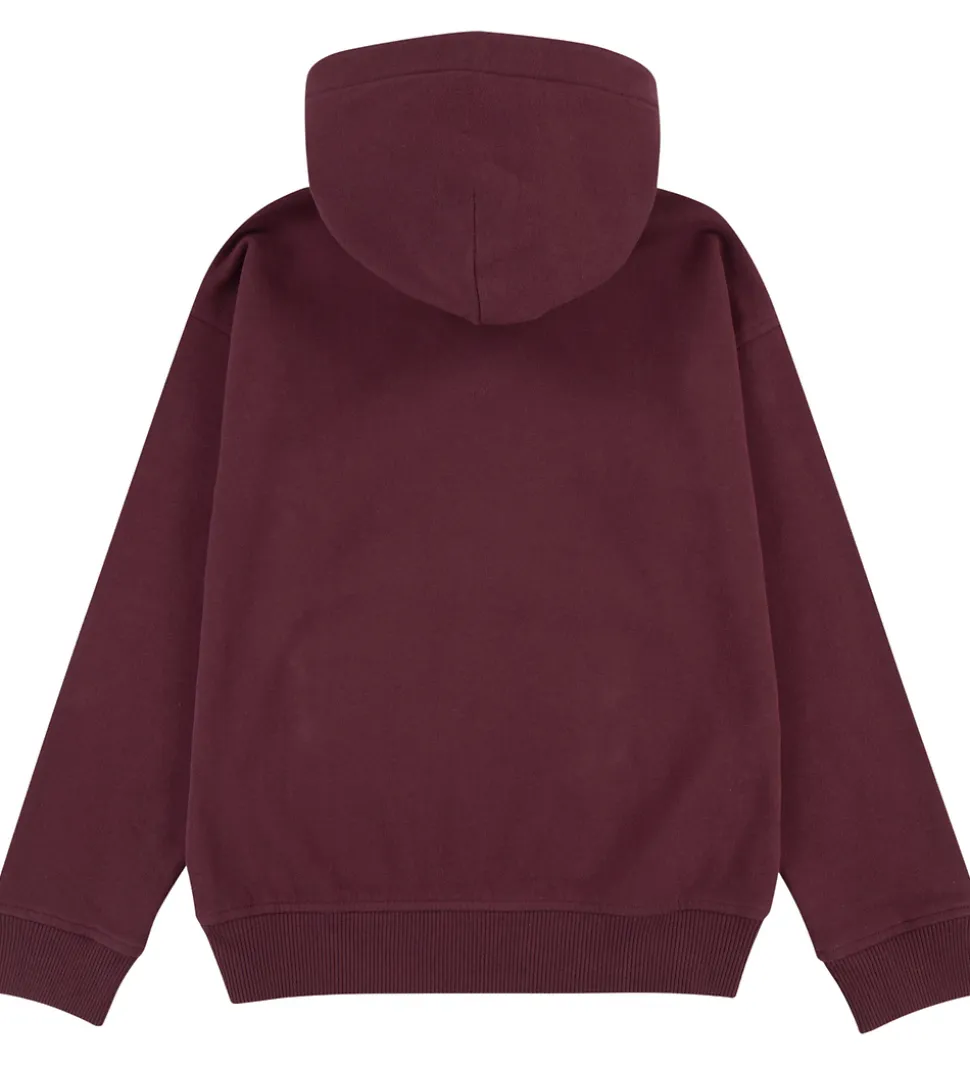 Abercrombie & Fitch Hættetrøje - Fig