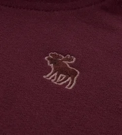 Abercrombie & Fitch Hættetrøje - Fig