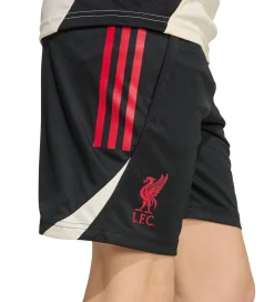 adidas Performance Shorts - Liverpool - Sort