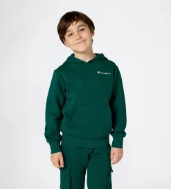 Champion Hættetrøje - Forest Peak Green
