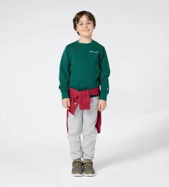 Champion Sweatshirt - Forest Peak Green