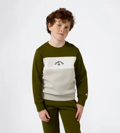 Champion Sweatshirt - Immersive Olive