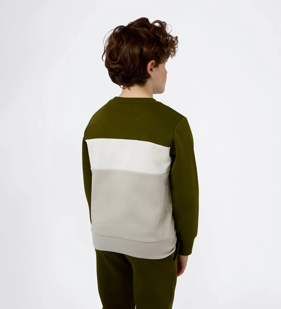 Champion Sweatshirt - Immersive Olive