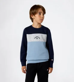 Champion Sweatshirt - Sky Captain