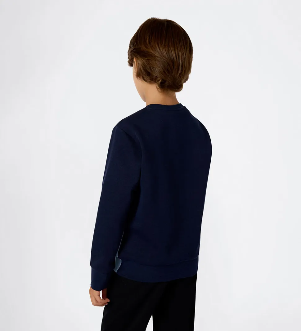 Champion Sweatshirt - Sky Captain