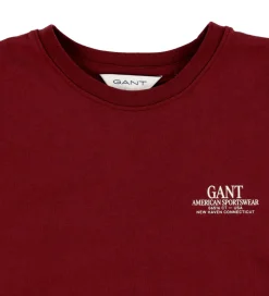 GANT T-shirt - Graphic - Plumped Red