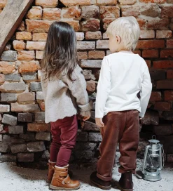 Hust and Claire Fløjlsbukser - HCGarry Ottoman - Brown stone