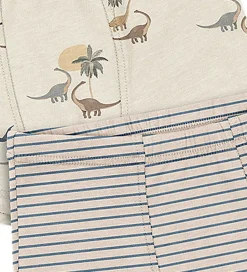 Konges Sløjd Boxershorts - 2-pak - Gots - Kubi/Stripe Bluie