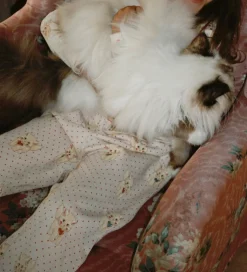 Konges Sløjd Sweatpants - Belli - Miao Amore