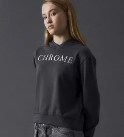 LMTD Hættetrøje - NlfSilver - Magnet m. Print