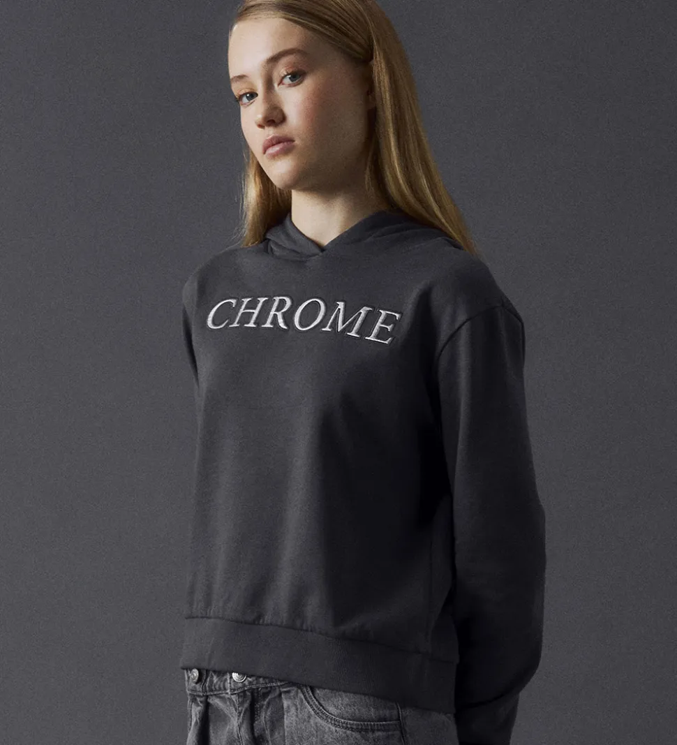 LMTD Hættetrøje - NlfSilver - Magnet m. Print