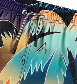 Molo Badeshorts - UV50+ - Niko - Faded Palmtrees