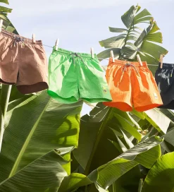 Molo Badeshorts - UV50+ - Niko Solid - Green Vibes