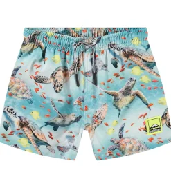 Molo Badeshorts - UV50+ - Niko - Marine Turtles