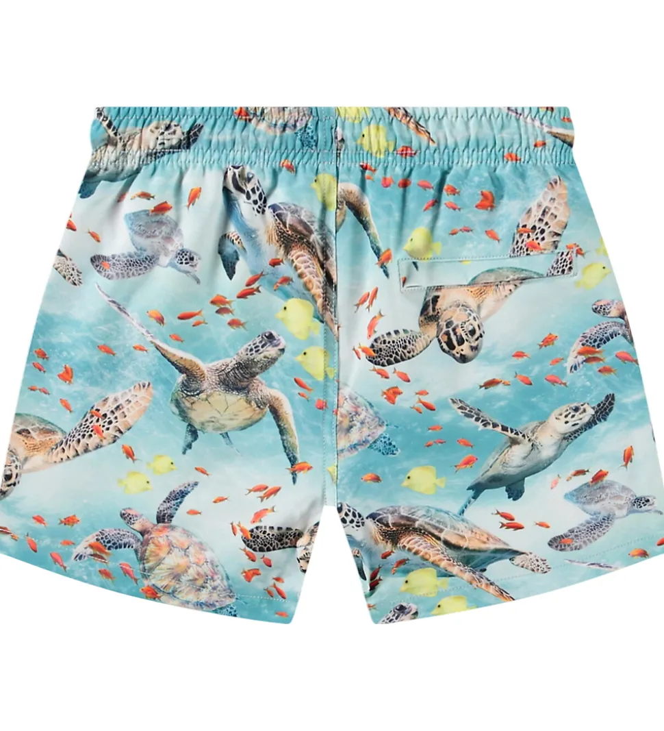 Molo Badeshorts - UV50+ - Niko - Marine Turtles