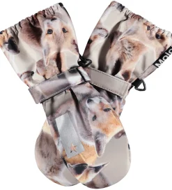 Molo Luffer - Igor - Playing Foxes