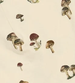 Petit Piao Huer - 2-pak - Fungie