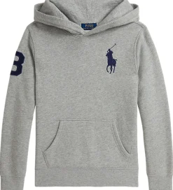 Polo Ralph Lauren Hættetrøje - Andover Heather m. Navy